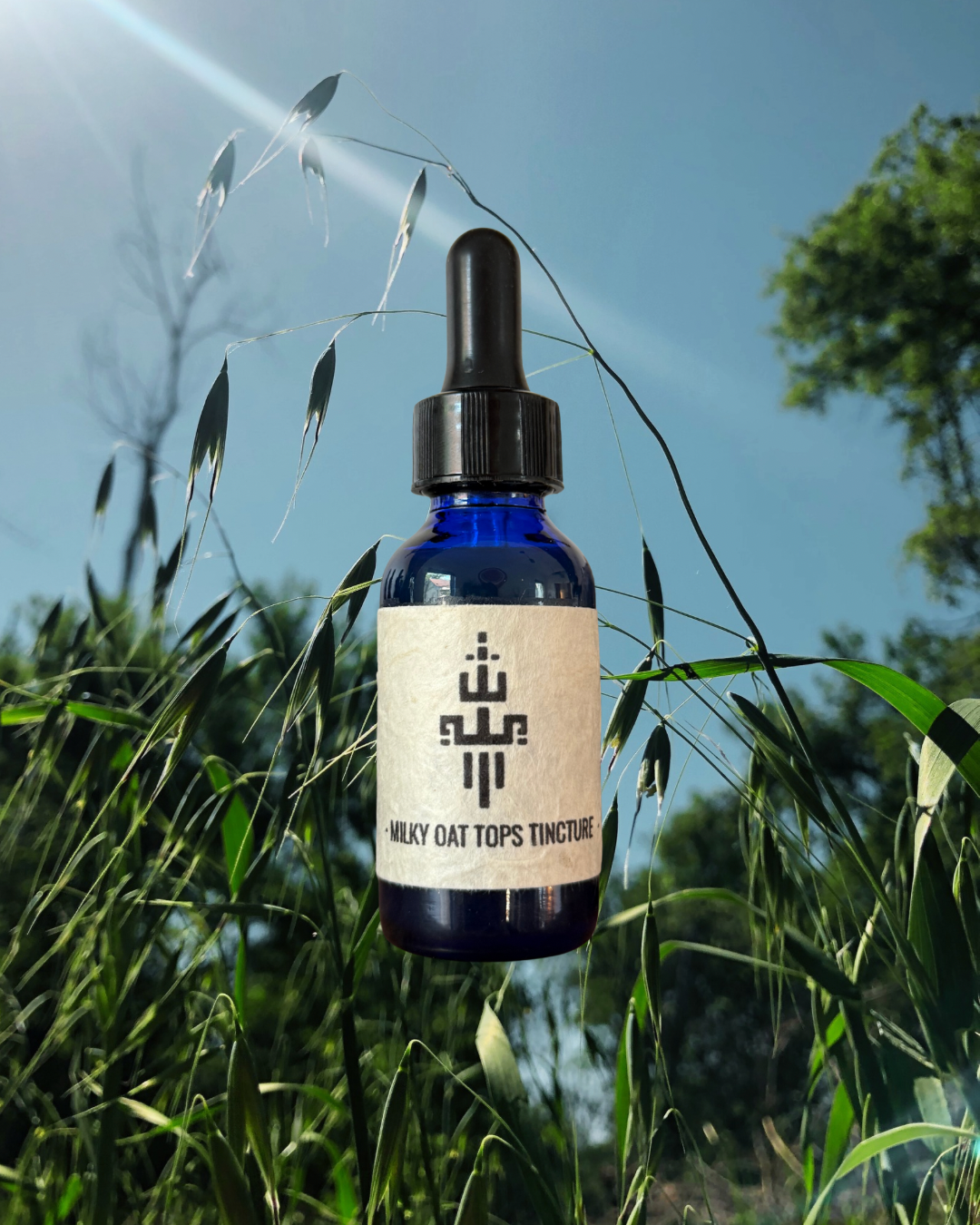 Milky Oats Extract