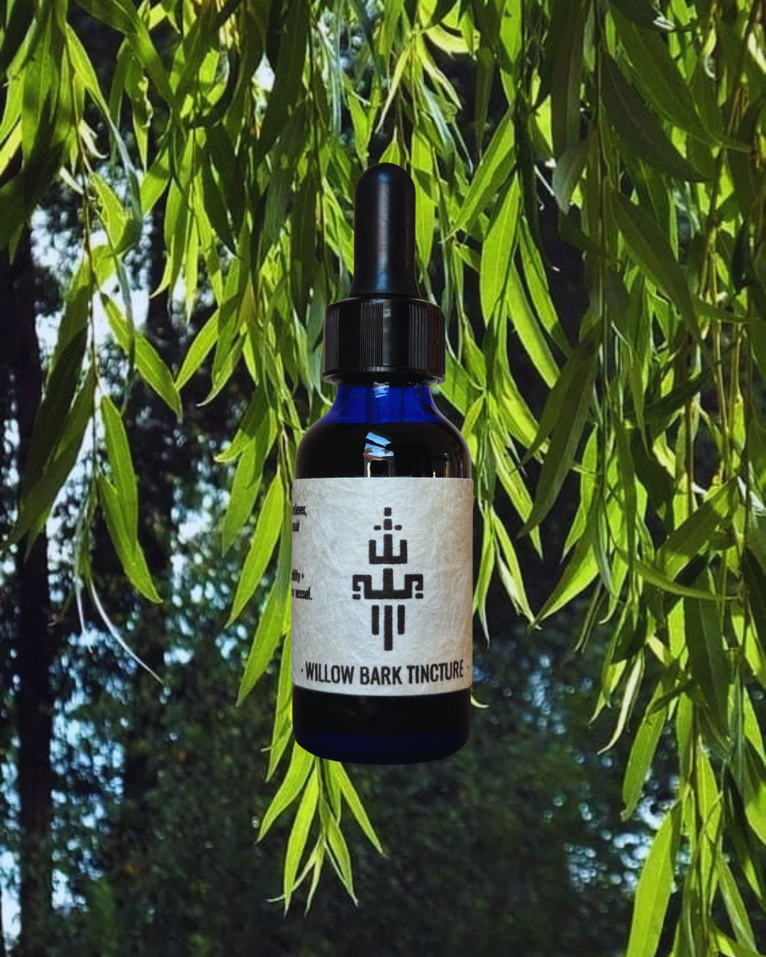 Willow Bark Tincture