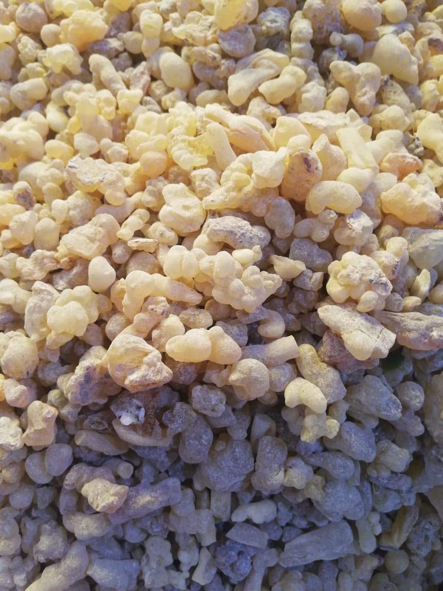 Copal Blanco
